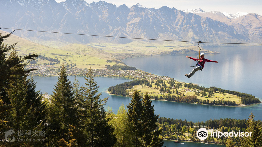 Ziptrek Ecotours生態高空滑索