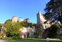 Castle de Vendôme景点图片