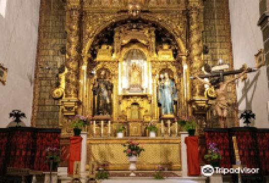 Museo Santa Clara景点图片