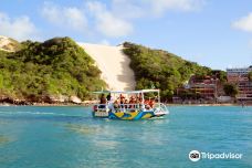 Jangalancha Show-纳塔尔