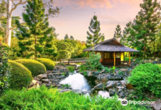 Nerima Gardens景点图片