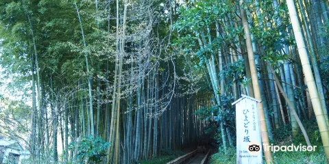 Hiyodori Hill