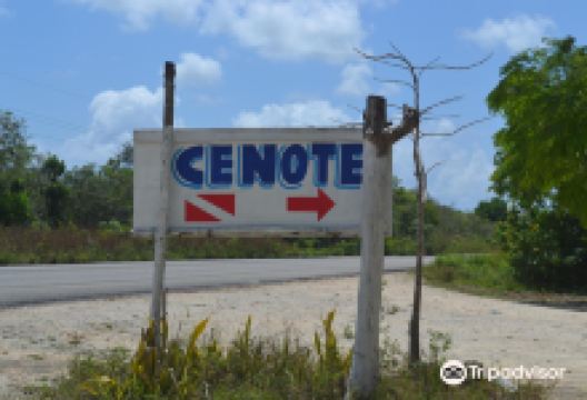 Cenote Carwash景点图片