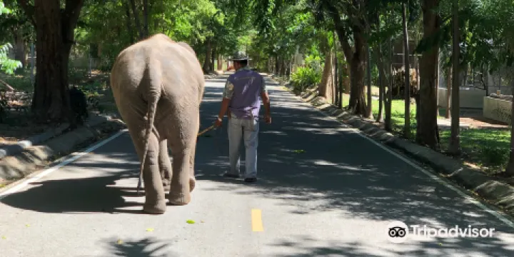 Huay Sui Wildlife Breeding