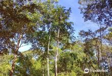 Balneario Encontro das Aguas景点图片