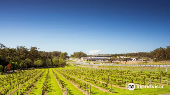 Cassegrain Wines