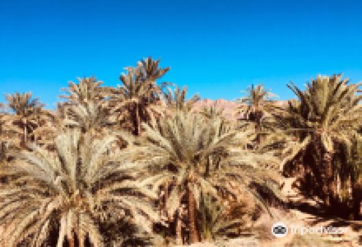 Amassakoul景点图片