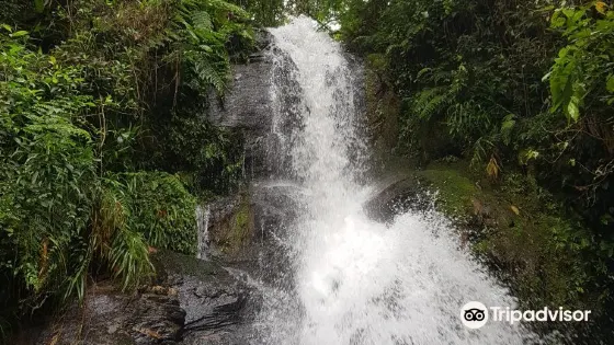 Monkeys Waterfall