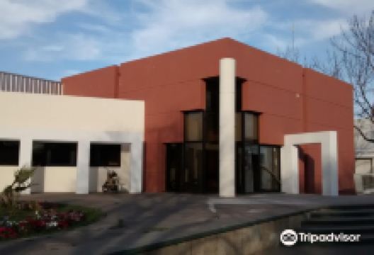 Museo Don Santos Tosticarelli景点图片