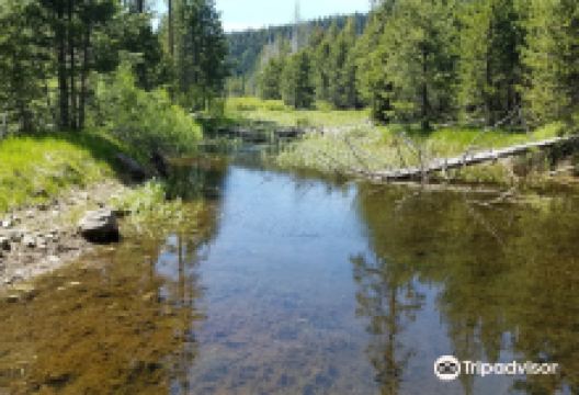 Burton Creek State Park景点图片