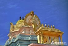 Bhubaneshwari Temple景点图片