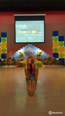 河口湖猴戏剧场-富士河口湖町