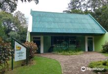 Danilo Galafassi Municipal Park Natural History Museum景点图片
