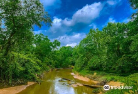 George Mitchell Nature Preserve景点图片