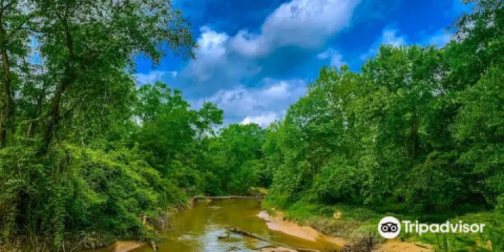 George Mitchell Nature Preserve