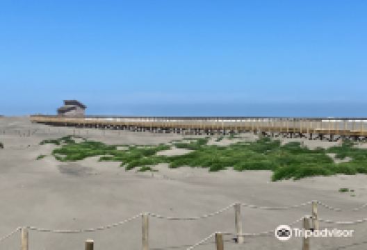 Humedal Rio Maipo景点图片