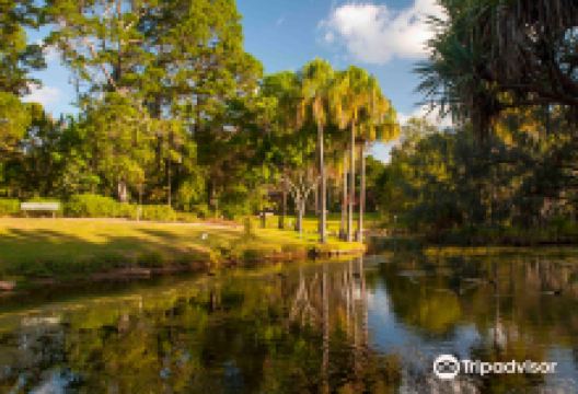 Hervey Bay Botanic Gardens景点图片