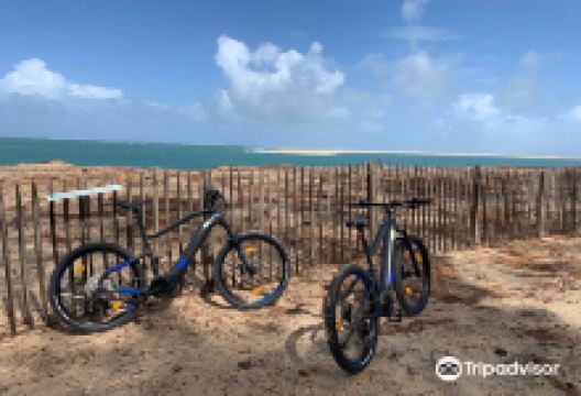 Au Velo Pour Tous购物图片