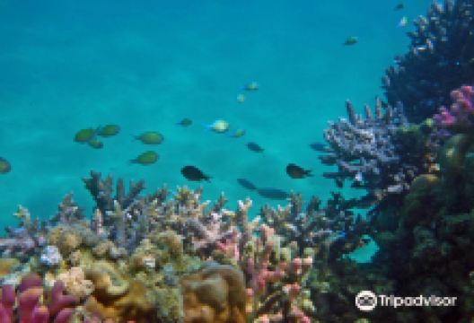 Sanganeb National Park景点图片