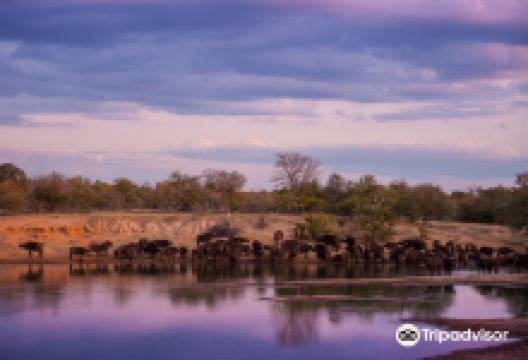 Tshukudu Game Lodge景点图片