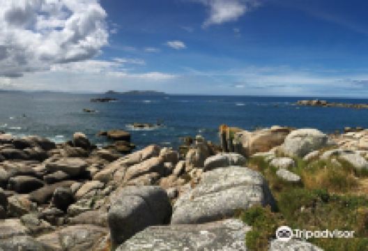 Pedras Negras景点图片