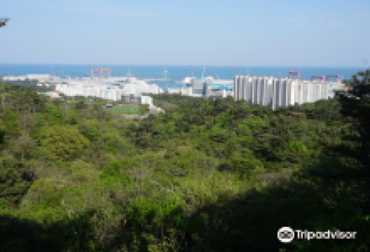 盐浦山景点图片