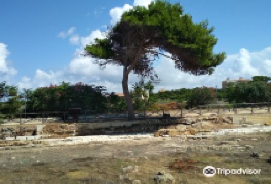 Parco Archeologico di Lilibeo景点图片