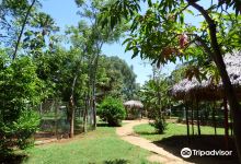 Finca Fiesta Campesina景点图片