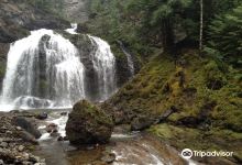 McDiarmid Falls景点图片