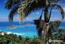 Praia Jale景点图片