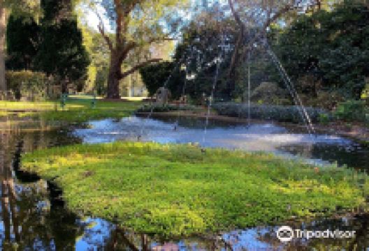 Hunter Region Botanic Gardens景点图片
