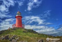 Lighthouse Picnics美食图片