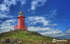 Lighthouse Picnics