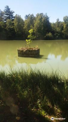 Parco Regionale La Mandria-都灵广域市