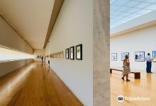 Museum Nadir Afonso景点图片