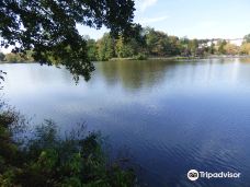 Lac de Creutzwald-柯哲斯瓦尔德拉克鲁瓦