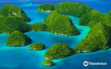 帕劳南部泻湖石岛群-洛克群岛