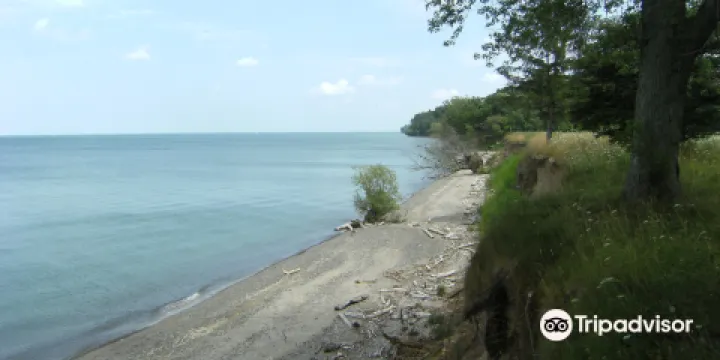 Ruscom Shores Conservation Area