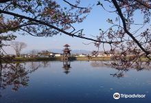 Karako Kagi Ruins景点图片