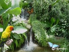 Butterfly Park Empuriabrava-Alt Emporda