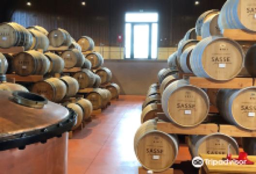 SASSE Feinbrennerei购物图片