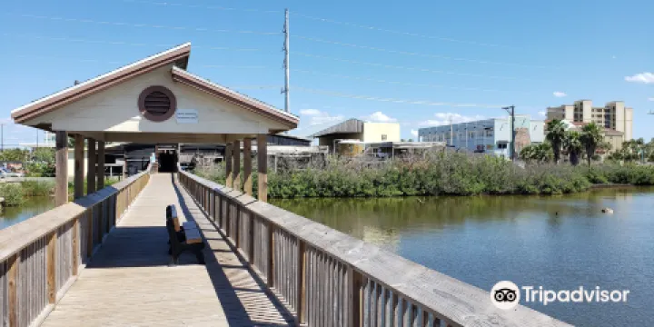 Texas Sealife Center