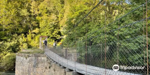 Aribeko Zubi Eserkia / Puente Colgante de Aribe