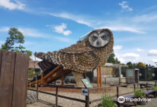 Scottish Owl Centre景点图片