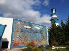 Deniz Dunyasi-安卡拉