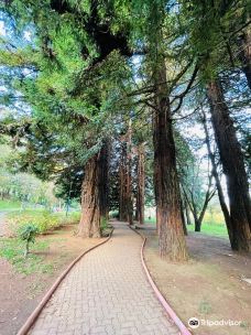 Parque Cuarto Centenario de Osorno-奥索尔诺