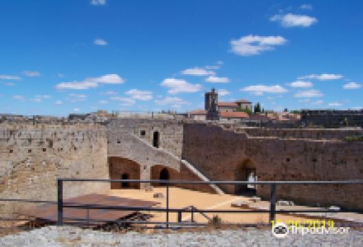Fortaleza de Ledesma景点图片