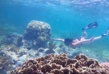 Charlie Claw's美食图片