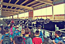 Tamiski Konaci景点图片