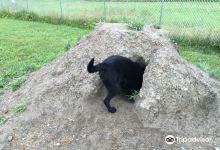 Shaker Field Dog Park景点图片